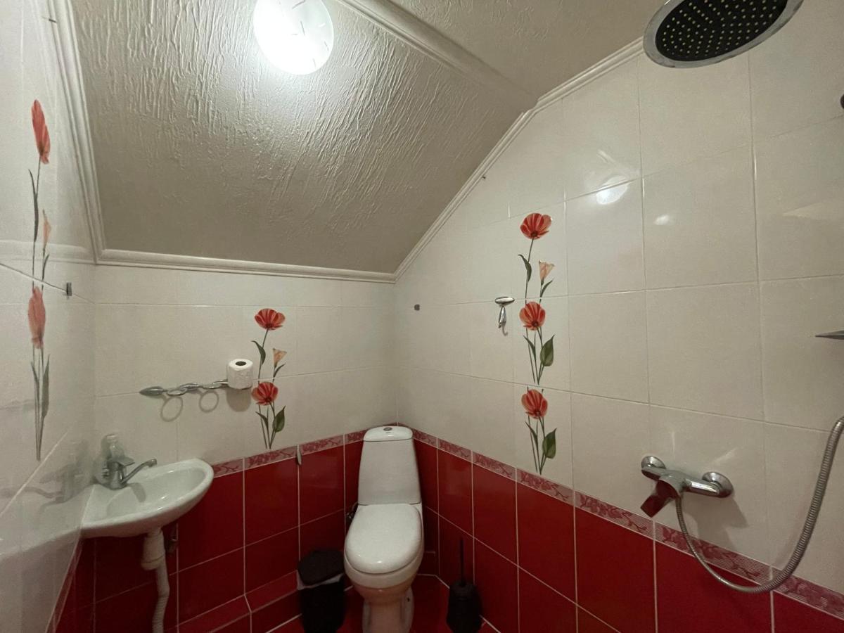 Villa Aeroport Розовый Дом Chişinău Extérieur photo